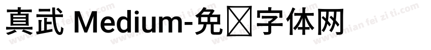 真武 Medium字体转换